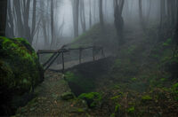 no name ( ID=2580554 ); comments:1