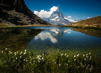 без име ( ID=2580579 ); Коментари:14