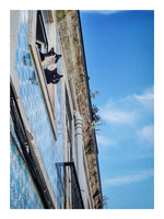 клюкарки; comments:5