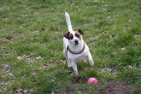 Играй с мен!; No comments