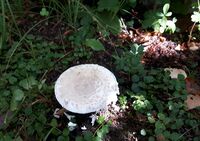 no name ( ID=2580594 ); No comments