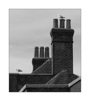 Очакване; comments:2