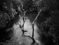 Удвници; comments:1