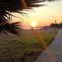 no name ( ID=2580672 ); No comments