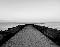 no name ( ID=2580703 ); comments:2