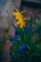 аз и ти; comments:2