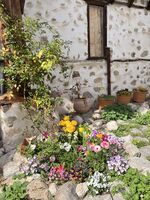 no name ( ID=2580731 ); comments:3