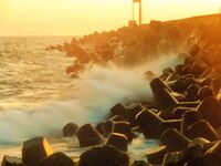 Танц с вятъра; Коментари:1