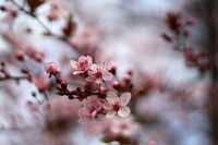 no name ( ID=2580737 ); comments:6