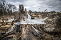 Water Level; comments:8