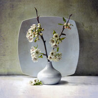 Пролет 2026 г.; comments:43