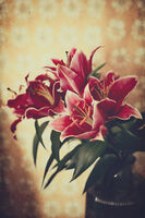 при баба; Коментари:13