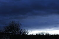 без име ( ID=2580815 ); Няма коментари