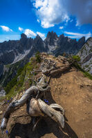 без име ( ID=2580847 ); Коментари:3