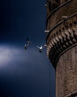 Скок; Коментари:2