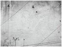 без име ( ID=2580899 ); Коментари:23