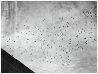 без име ( ID=2580900 ); Коментари:21