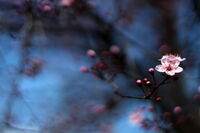 no name ( ID=2580921 ); comments:4