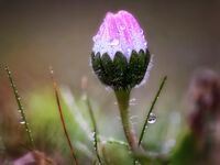 no name ( ID=2580937 ); comments:4