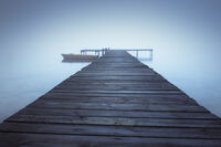 без име ( ID=2580948 ); Коментари:10