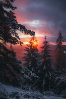 без име ( ID=2580952 ); Коментари:1