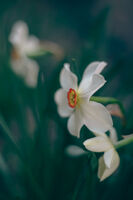 no name ( ID=2580962 ); comments:10