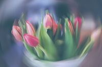 Фотографията е средство да увековечиш това, което виждаш за секунда. – Арън Съсман; comments:9