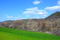 Пролет.; comments:1