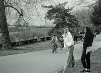 Айде нашите!; comments:1