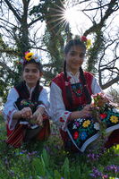 Цветница; Коментари:1