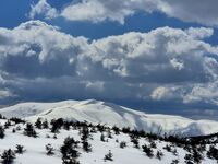 без име ( ID=2581015 ); Коментари:13