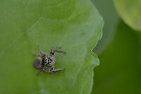 no name ( ID=2581051 ); comments:3