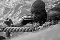 Спасени...; Коментари:4