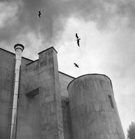 no name ( ID=2581088 ); comments:14