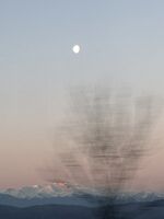 Призрак; Няма коментари