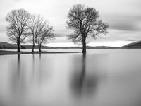 без име ( ID=2581123 ); Коментари:5