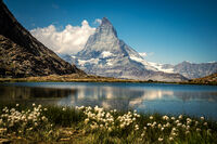 без име ( ID=2581126 ); Коментари:14