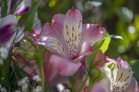 no name ( ID=2581130 ); No comments