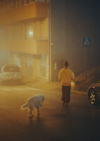 II; Коментари:4