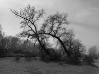 ****; Коментари:2