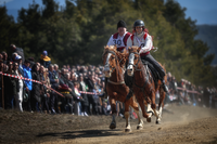 no name ( ID=2581145 ); comments:21