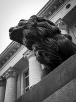 no name ( ID=2581150 ); comments:1