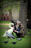 Близост; Коментари:7