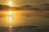 ,,Събуждане''; Коментари:26