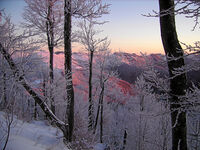 Сутрешно; Коментари:5