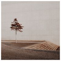 адаптация; Коментари:22