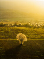 Пролетна тишина; Коментари:2