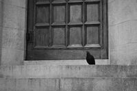 без име ( ID=2581247 ); Коментари:2