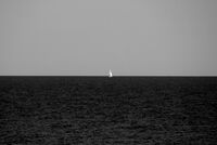 без име ( ID=2581263 ); Коментари:3