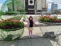 Цветница цветна!; comments:1